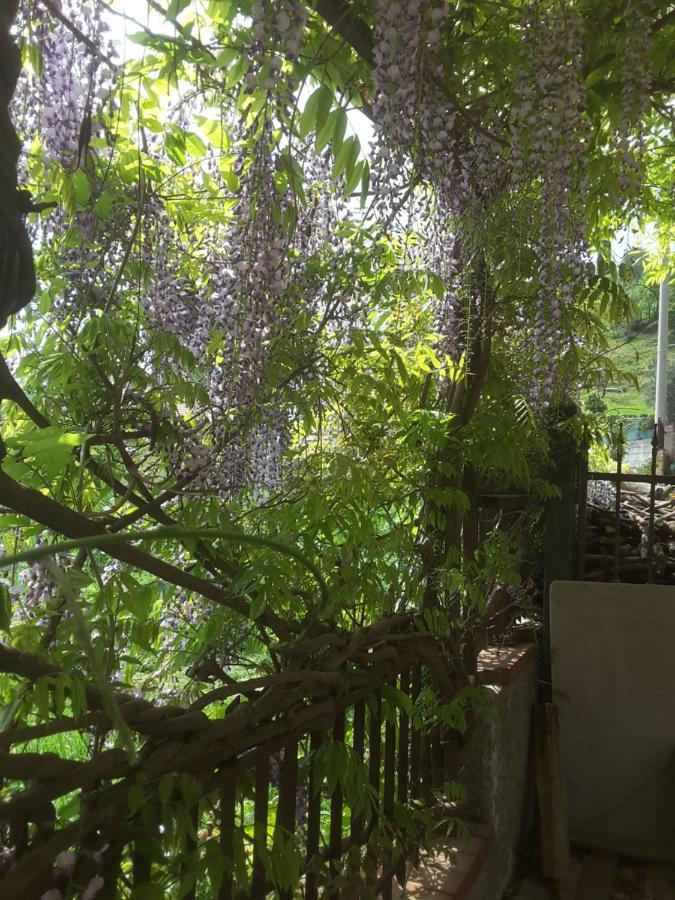 Mansarda Fiorita Bed & Breakfast Abatemarco Exterior photo